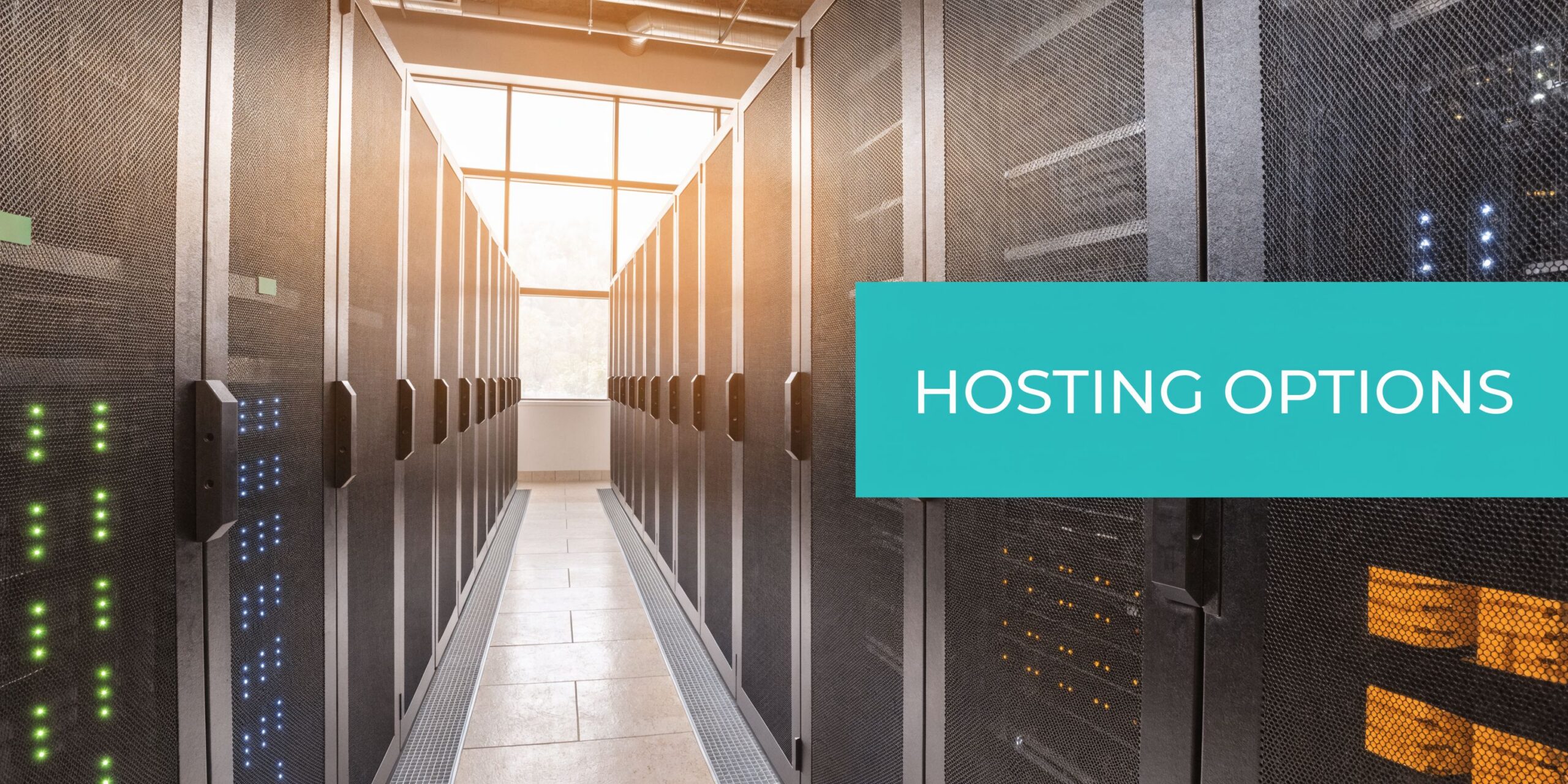 Rows of server racks in a high-tech data center with a large text overlay Hosting Options.