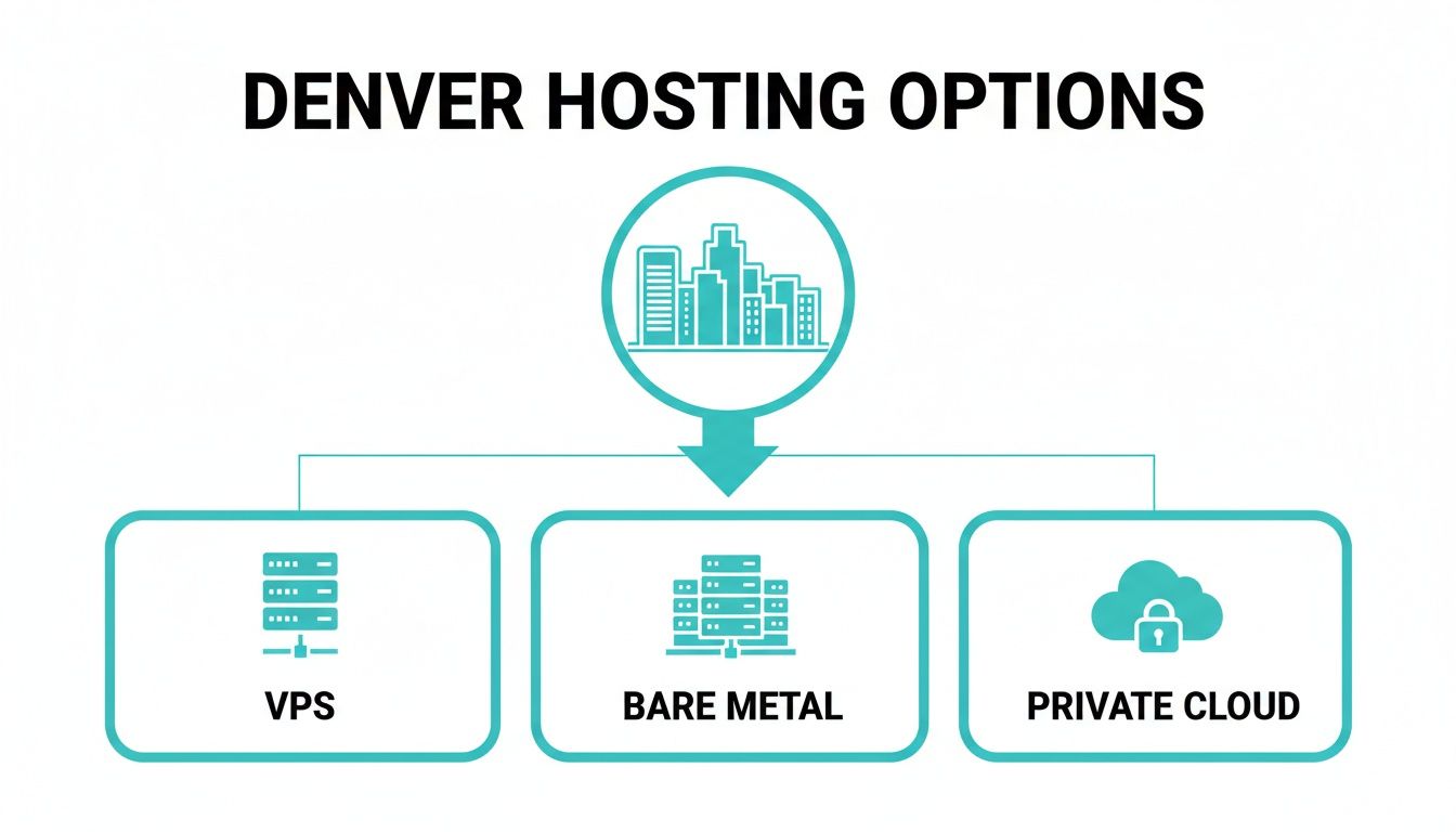 Diagram illustrating Denver hosting options including VPS, Bare Metal, and Private Cloud, each with relevant icons.